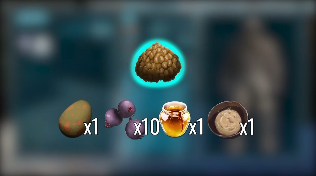 Extraordinary Kibble