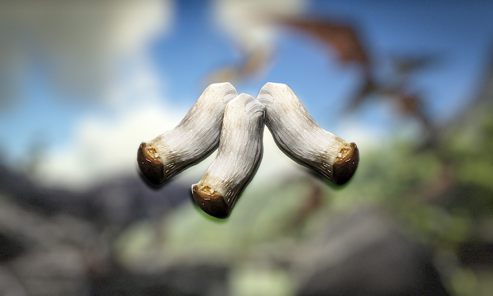 Fungal Wood