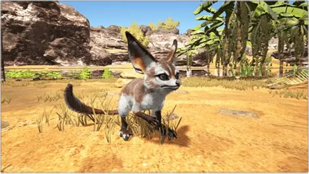 Jerboa